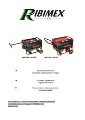 Ribimex PRGE5500 Instructions Manual