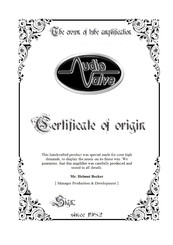 Audiovalve Prometheus 100 Instructions Manual