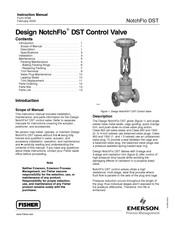 Emerson FISHER NotchFlo DST Instruction Manual