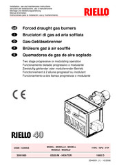 Riello 1960 D Installation, Use And Maintenance Instructions