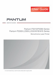 Pantum P3010 Series User Manual