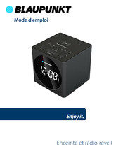 Blaupunkt BLP2612-001 User Manual