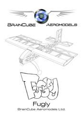 BrainCube Aeromodels Fugly Manual