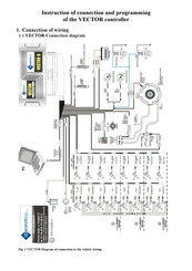 EuropeGas VECTOR Instruction Of Connection And Programming