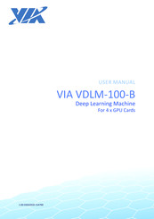 Via Technologies VDLM-100-B User Manual