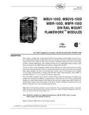 Fireye FlameWorx MBIR-100D Manual