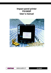 Custom Audio Electronics FH190SP User Manual