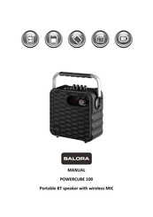 Salora POWERCUBE 100 Manual