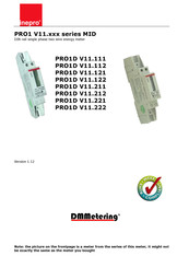Inepro DMMetering PRO1 V11 Series Manual