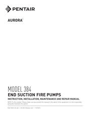 Pentair Aurora 384 Instruction, Installation, Maintenance And Repair Manual
