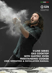 iLive V-LINE Series User, Operating & Installation Manual