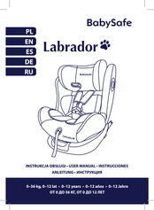 BabySafe Labrador User Manual