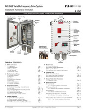 Eaton Crouse-Hinds ACE-DG1-2 Installation & Maintenance Information