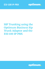 Optimum ESI-100 IP-PBX Manual