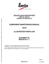 EnerSys BA27-01 Maintenance Manual