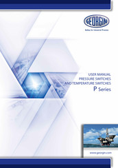 GEORGIN P Series User Manual