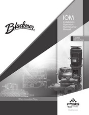 Dover PSG Blackmer 3M Installation, Operation & Maintenance Manual
