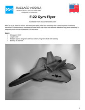 Buzzard Models F-22 Gym Flyer Instructions Manual