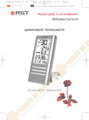 RST RST02317 User Manual