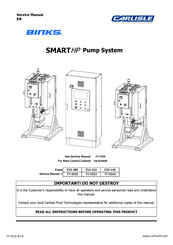 Carlisle BINKS SMART HP E10-280 Service Manual