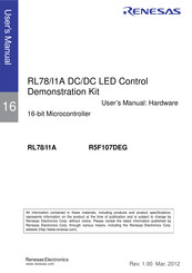 Renesas R5F107DEG User Manual