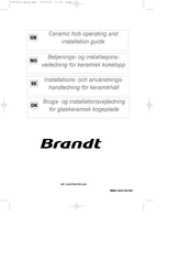 Brandt TV324XT1 Operating And Installation Manual