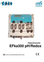 BASENHURT Tebas-Economic EFka300 pH/Chlor Installation And Maintenance Instructions Manual