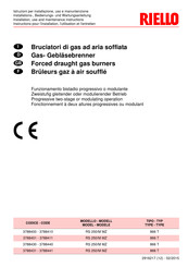Riello RS 250 MZ Installation, Use And Maintenance Instructions