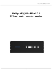 Brightlink 16x16 Manual