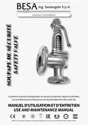 BESA 281 Series Use And Maintenance Manual