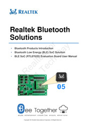 Realtek RTL8762D User Manual