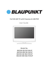 Blaupunkt 40/234I-WB-5B2-FHKUP User Manual