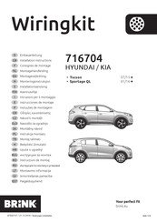 Brink 716704 Installation Instructions Manual