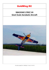 Goldwing RC SBACH342 170CC V4 Manual