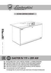 Lamborghini Caloreclima GASTER N 119 Instructions For Use Manual