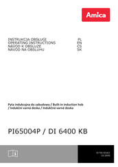 Amika PI65004P Operating Instructions Manual