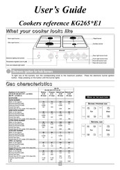 Brandt KG265 E1 Series User Manual