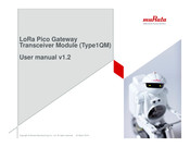 Murata Type1QM User Manual