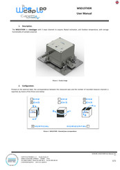 Capetti Elettronica WSD15TIIDR User Manual