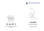 Grandstream Networks GUV3050 Quick User Manual