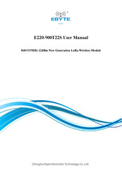 Ebyte E220-900T22S User Manual