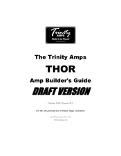 Trinity Amps THOR Builder's Manual