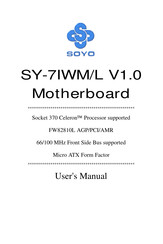 SOYO SY-7IWM/L V1.0 User Manual
