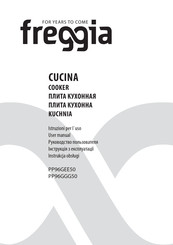 Freggia PP96GEE50X User Manual