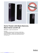 Audio Pro Black Diamond V.2 Features