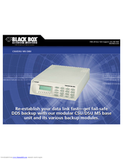 Black Box MT136A Specifications