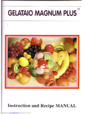 Delonghi Gelatio Magnum Plus User Manual