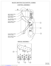 Fender Muddy Waters Telecaster Assembly