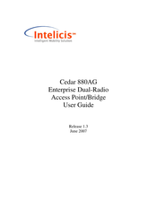 Intelicis Cedar 880AG User Manual