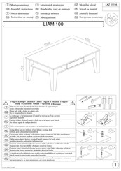 Baur LIAM 100 Assembly Instructions Manual